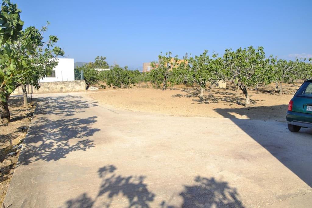 Nick'S House Villa Aegina Buitenkant foto
