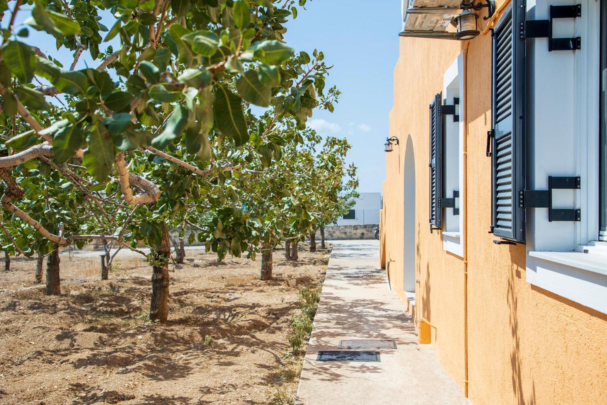 Nick'S House Villa Aegina Buitenkant foto